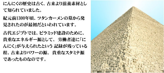 にんにくの歴史は古く、古来より滋養素材として知られていました